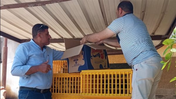 مشروع تربية البط