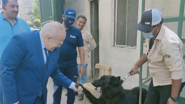 رئيس جامعة القاهرة