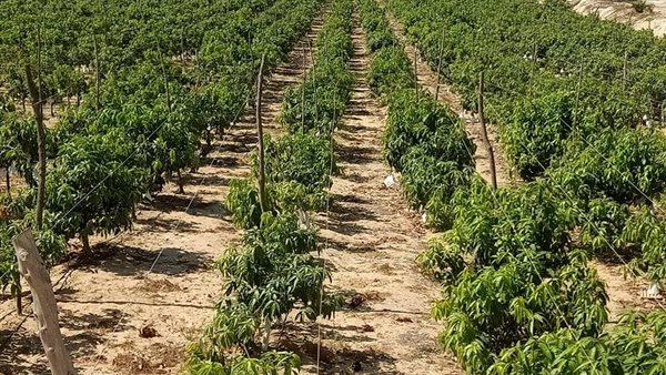 الانقلاب المناخي