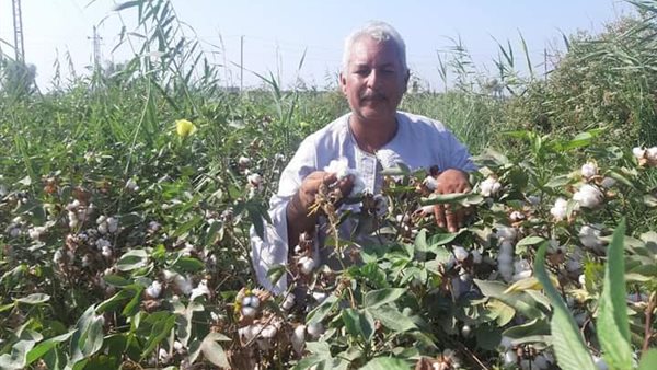 نقيب الفلاحين