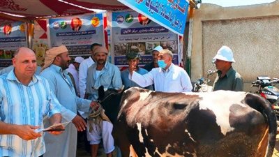 قافلة بيطرية بالمجان لقرى حياة كريمة في الشرقية | صور