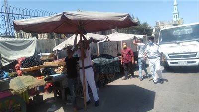 ضبط 421 حالة إشغال متنوع وتحرير 41 محضرًا بالإسكندرية