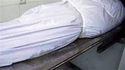 شاب يقتل شقيقه في قرية بالإسماعيلية