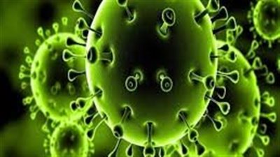 كفر الشيخ تسجل 8 حالات إصابة بفيروس كورونا المستجد خلال 24 ساعة 