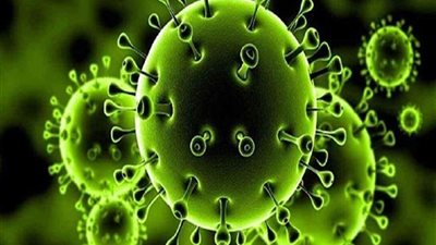 كفر الشيخ تسجل 12 حالة إصابة بفيروس كورونا 