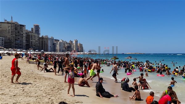 شواطئ الإسكندرية