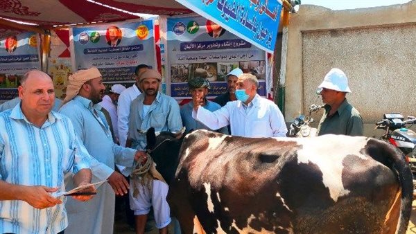 قافلة بيطرية بقرى