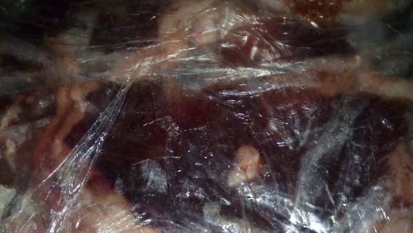 ضبط لحوم منتهية الصلاحية