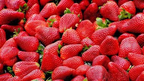 الفرولة المجمدة 