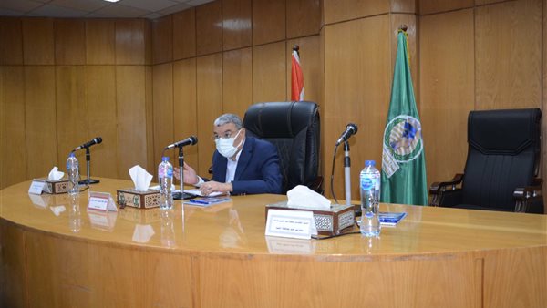 محافظ المنيا