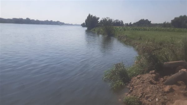 حملات دورية ويومية