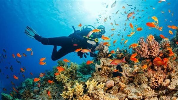 الأماكن السياحية