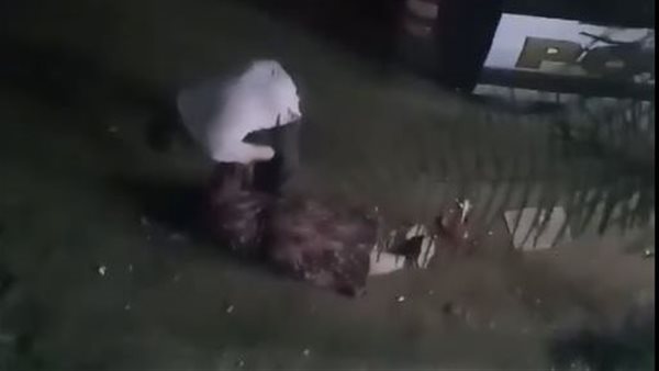 سحل سيدة بالمنوفية