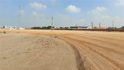 أرض الفروسية بالشرقية تتزين لاستقبال مهرجان الخيول العربية | صور