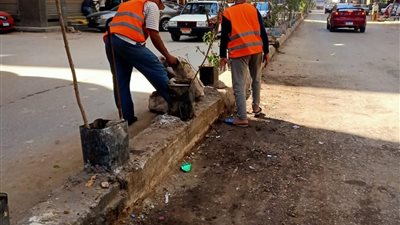 رفع ما يقرب من 400 طن قمامة وأتربة وصيانة كشافات وتجميل أعمدة الإنارة بالدقهلية 