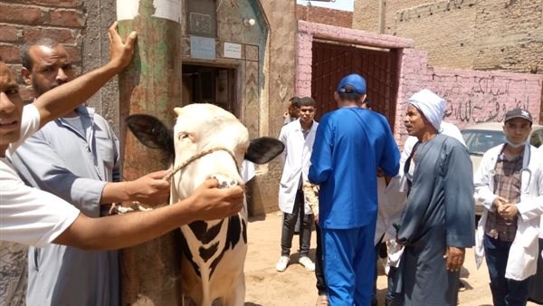 توقيع الكشف الطبي