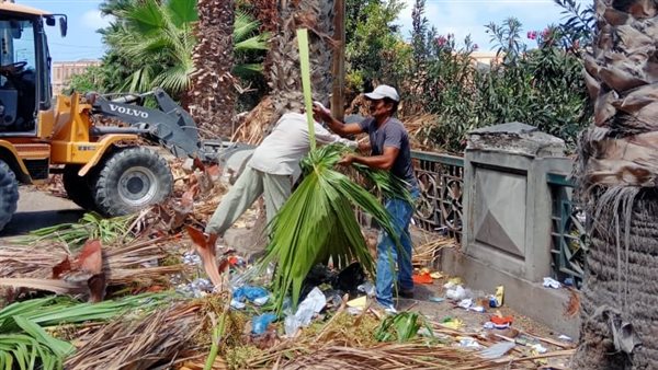 تجميل شوارع غرب الإسكندرية