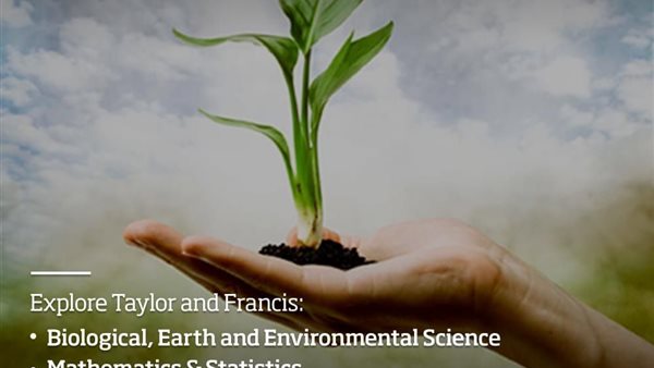 ورشة بنك المعرفة