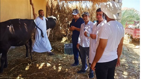 قافلة بيطرية مجانية