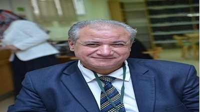 أستاذ الرقابة على الأغذية يوضح سر انخفاض أسعار ساندوتشات الكبدة عن الفول والطعمية (فيديو)