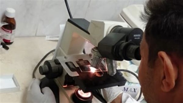 خلال إجراء الفحصوات