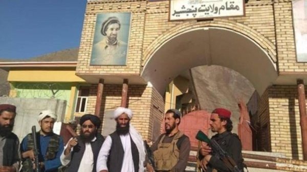 عدد من عناصر حركة