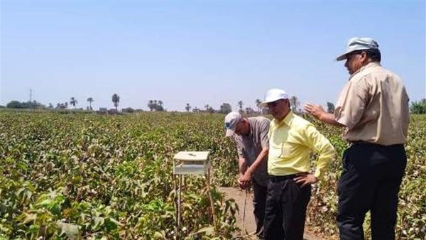 انطلاق موسم جني محصول