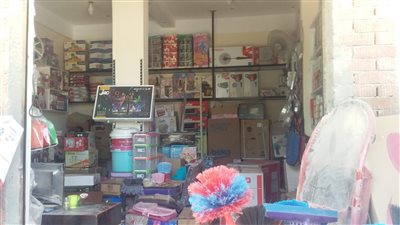 محافظ الإسكندرية: تسهيل إجراءات حصول المُتقدمين على قروض لإقامة المشروعات │ صور