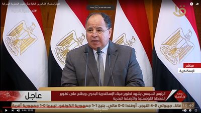 وزير المالية: رفض 17 شحنة خارجية غير صالحة بـ نظام التسجيل المُسبق الجديد