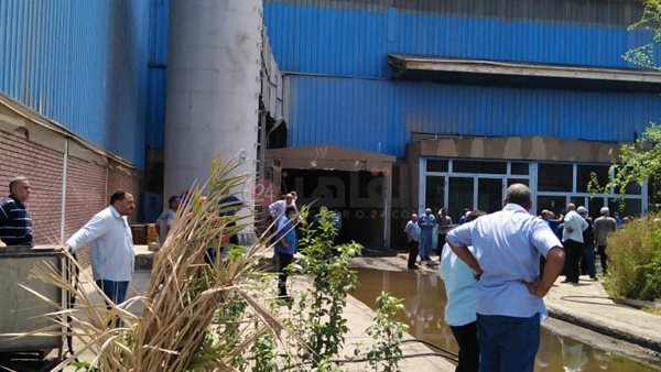 شركة مصر للألومنيوم