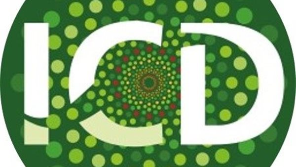 المؤسسة الإسلامية