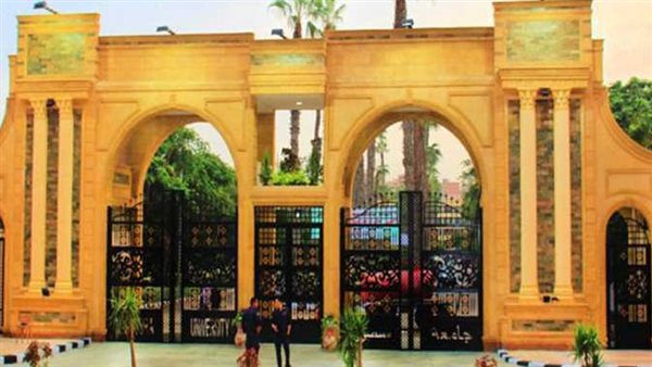 جامعة المنصورة