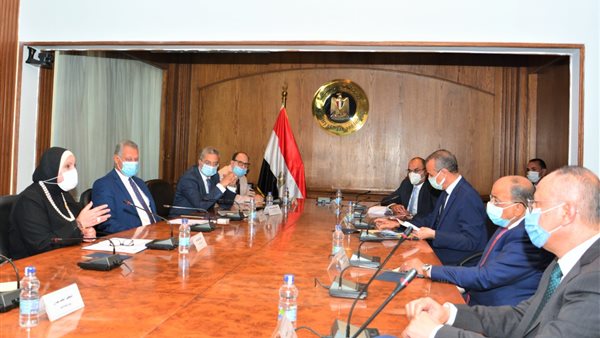 التنمية المحلية 