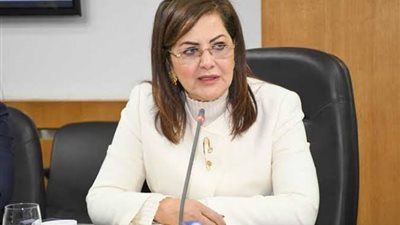 التخطيط تحسم الجدل حول حقيقة بيع 20 شركة حكومية في نهاية 2021