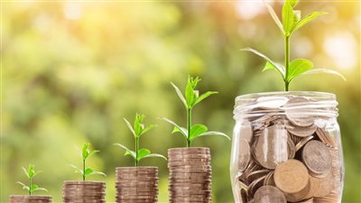 معلومات الوزراء: 24 مليون وظيفة متوقعة بحلول عام 2030 عند التحول للاقتصاد الأخضر