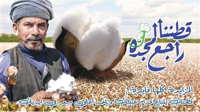 تعرف على سعر قنطار القطن في محافظتي الفيوم وبني سويف