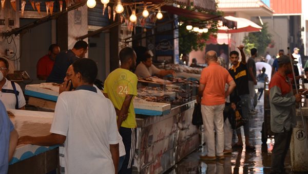  أسعار الأسماك اليوم