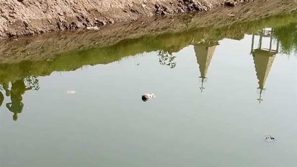 الطفل المعثور عليه