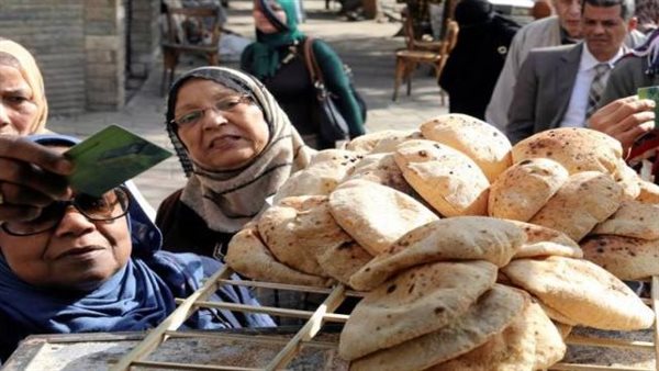 اسعار القمح 