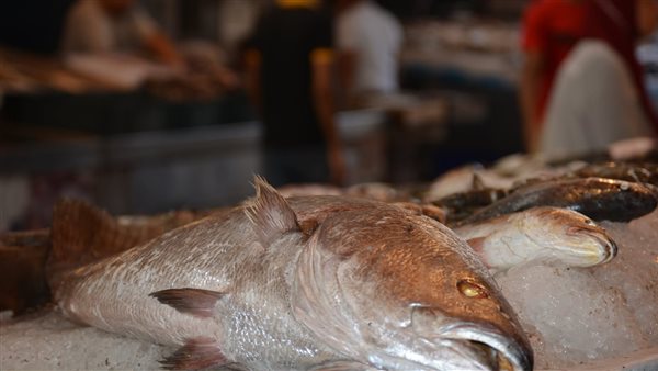 سوق الأسماك الجديد