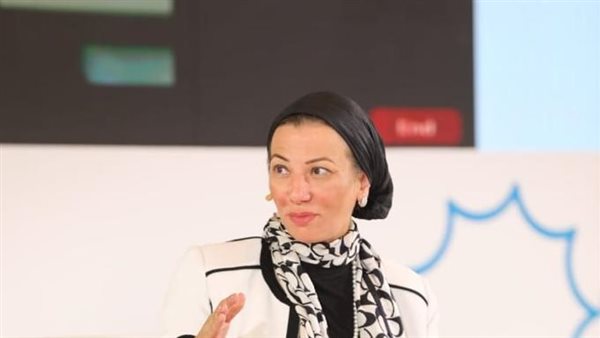 ياسمين فؤاد وزيرة