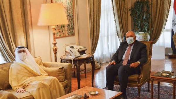 سامح شكري وزير الخارجية