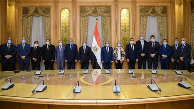 إقامة محطة معالجة للمخلفات الصلبة وتحويلها إلى طاقة كهربائية بالجيزة