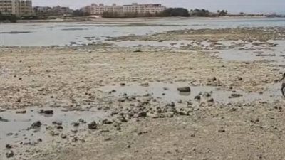  ظاهرة المد والجزر تتسبب في تراجع المياه بشواطئ الغردقة
