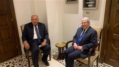 وزير الخارجية يبحث مع نظيره التونسي أوجه العلاقات بين البلدين | صور