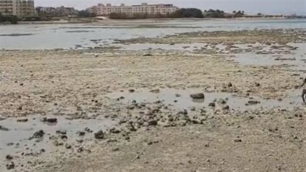 ظاهرة المد والجزر