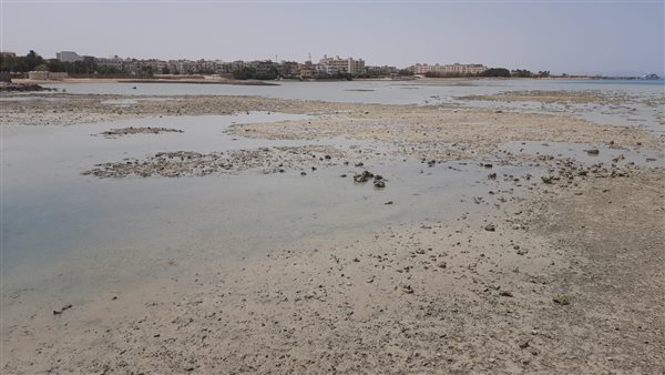 انخفاض منسوب مياه