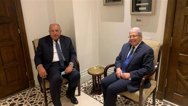 وزير الخارجية ونظيره