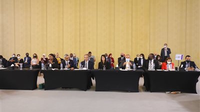 التعاون الدولي: مصر لديها منظومة مرنة في مجال ريادة الأعمال والتحول الرقمي