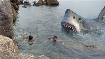 تفاصيل إصابة شخص بعد هجوم سمكة قرش على شاطئ مطروح 